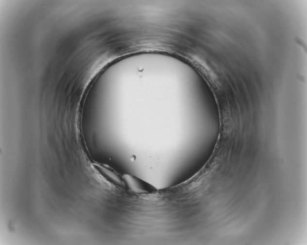 X0000096221182200802011336