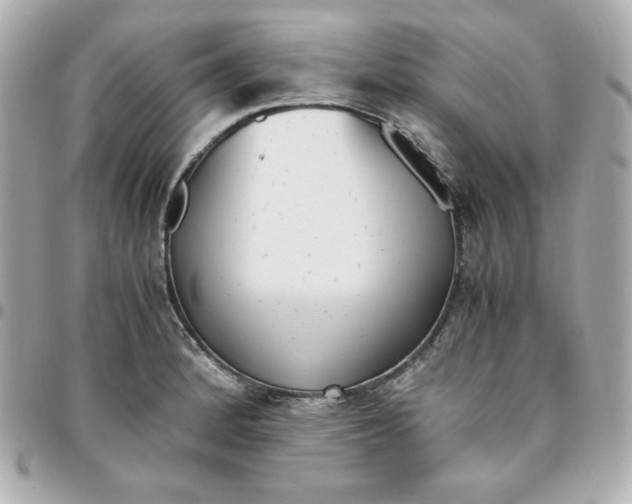 X0000096221184200802011336