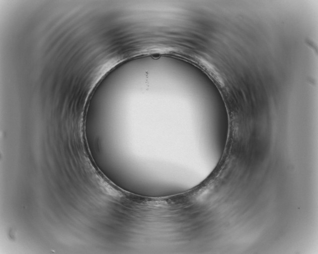 X0000096221186200802011336