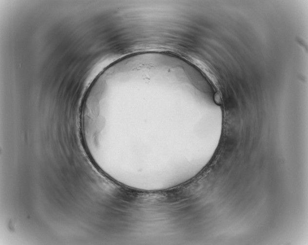 X0000096221187200802011336