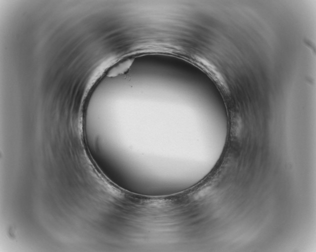 X0000096221188200802011336