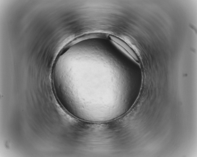 X0000096221189200802011336