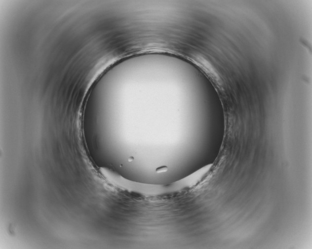 X0000096221190200802011336