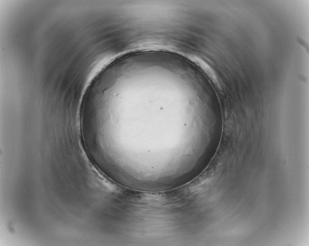 X0000096221191200802011336