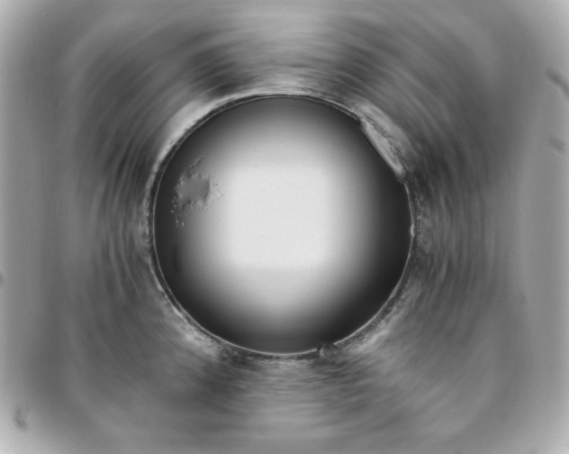 X0000096221192200802011336