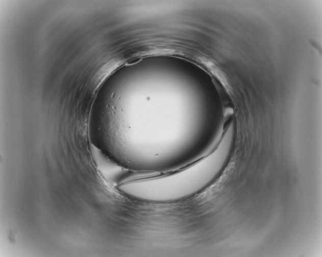 X0000096221193200802011336