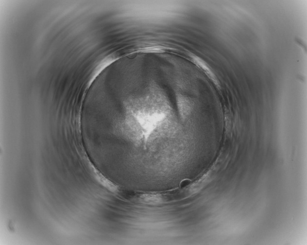 X0000096221194200802011336