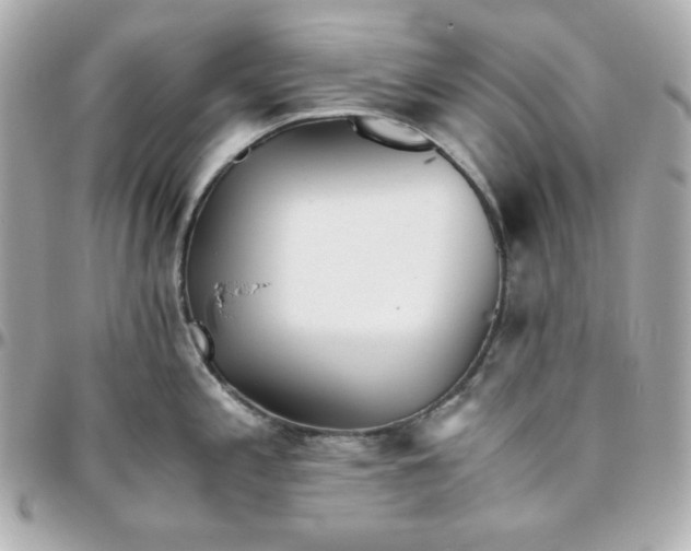 X0000096221197200802011336