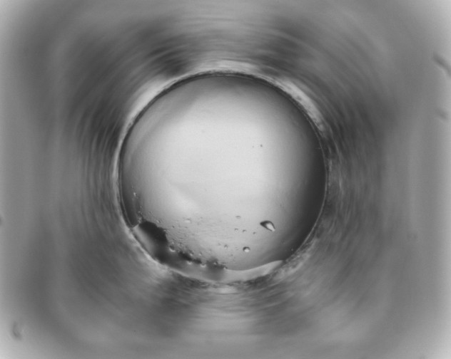 X0000096221199200802011336