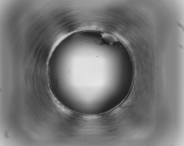 X0000096221200200802011336