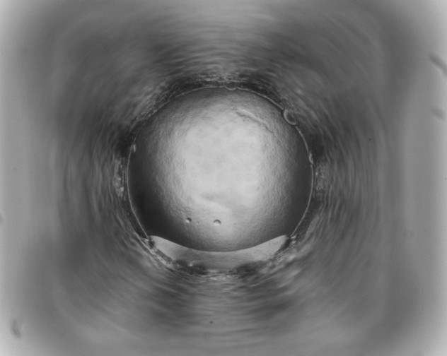 X0000096221202200802011335