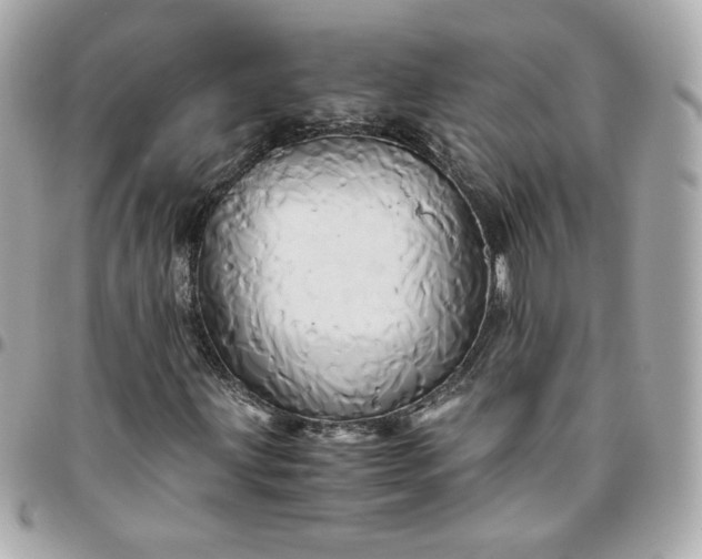 X0000096221203200802011335