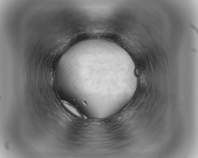 X0000096221204200802011335