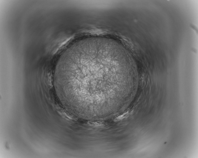 X0000096221205200802011335