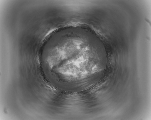 X0000096221206200802011335