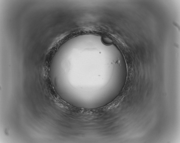 X0000096221207200802011335