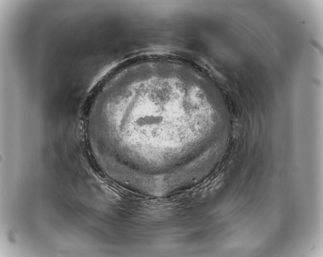 X0000096221208200802011335