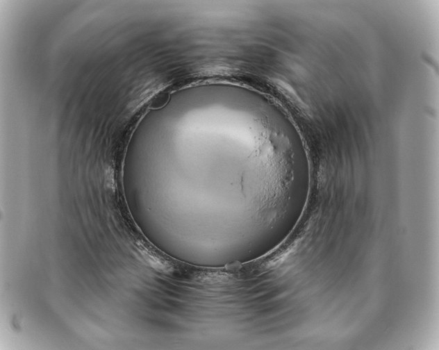 X0000096221209200802011335