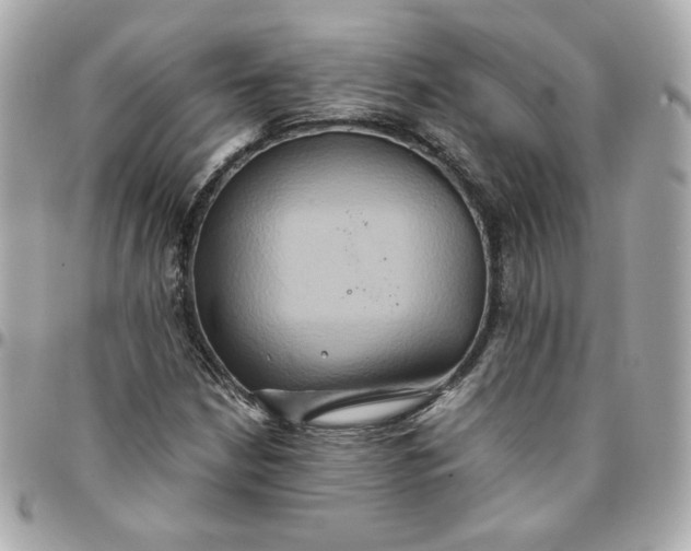 X0000096221210200802011335