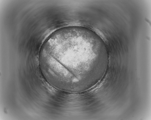 X0000096221212200802011335