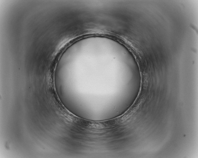 X0000096221215200802011335