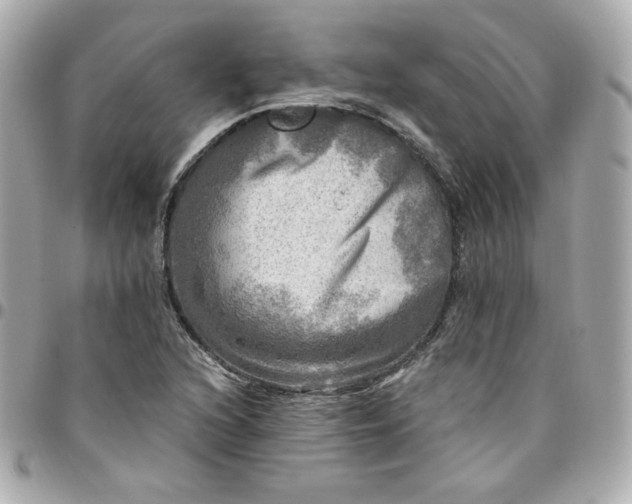 X0000096221216200802011335