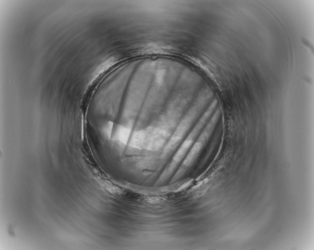 X0000096221219200802011336