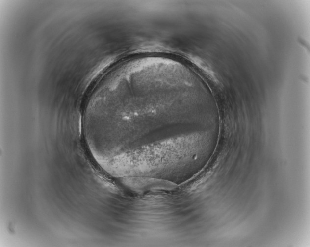 X0000096221221200802011336