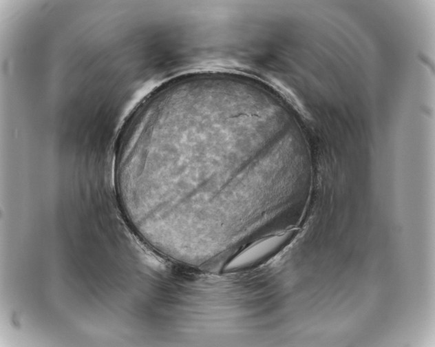 X0000096221224200802011336