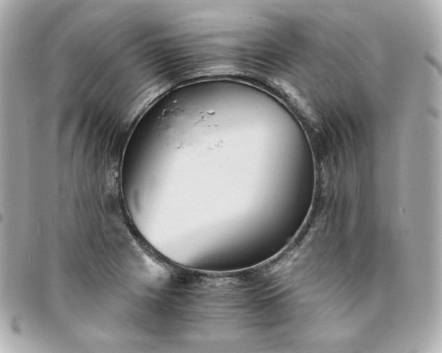 X0000096221225200802011336