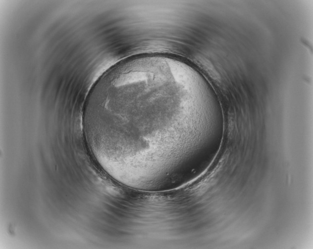 X0000096221226200802011336