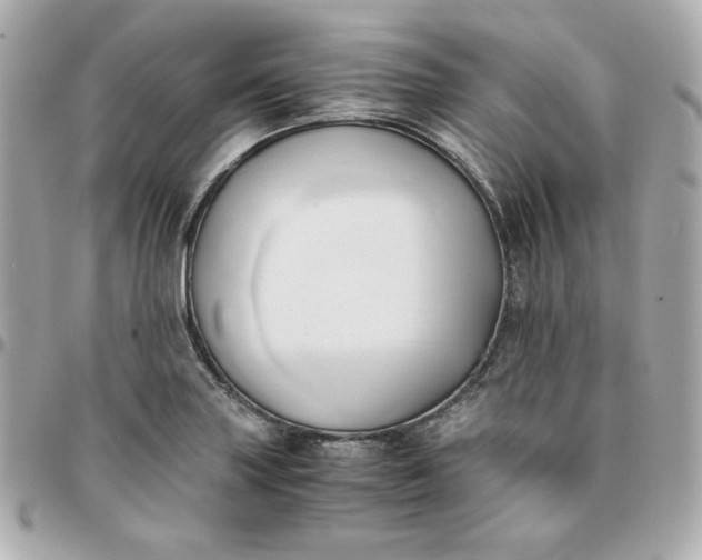 X0000096221227200802011336