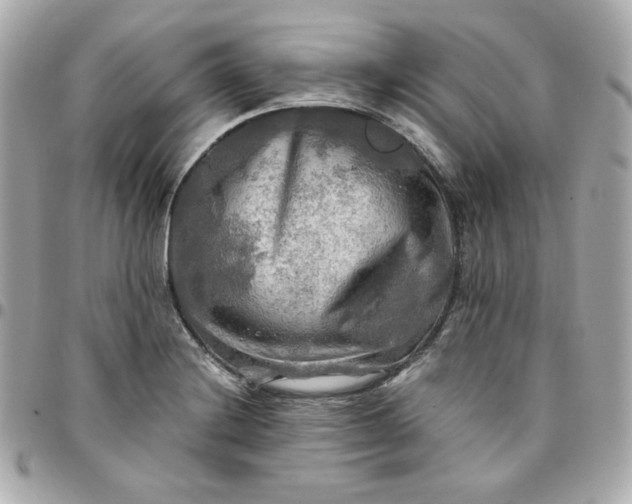 X0000096221228200802011336