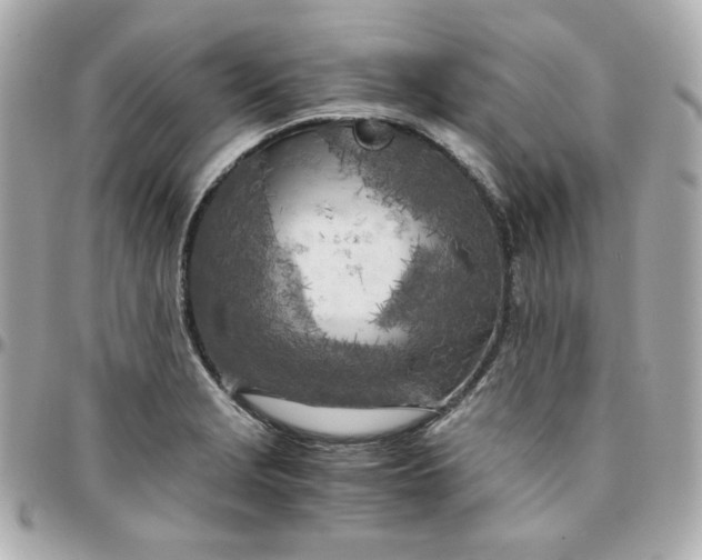 X0000096221229200802011336