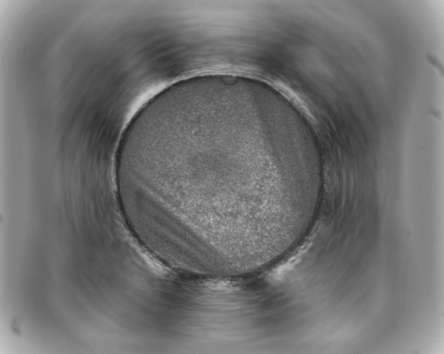 X0000096221230200802011336