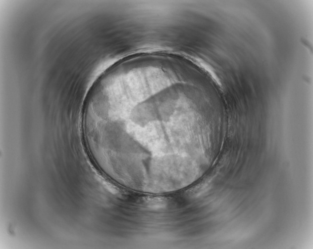 X0000096221231200802011336