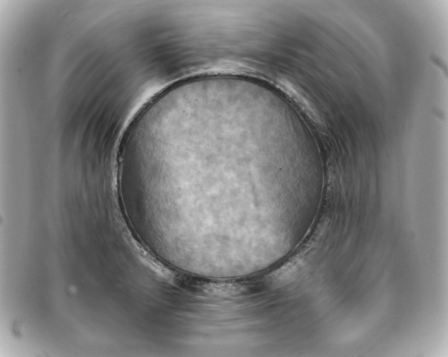 X0000096221232200802011336