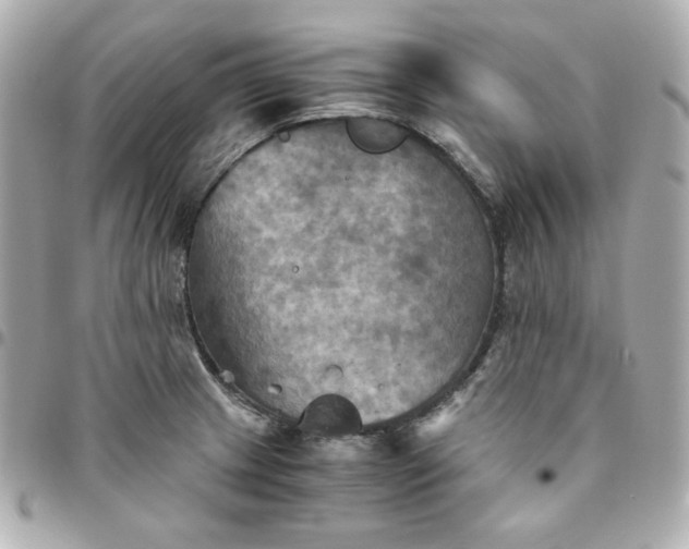 X0000096221233200802011336