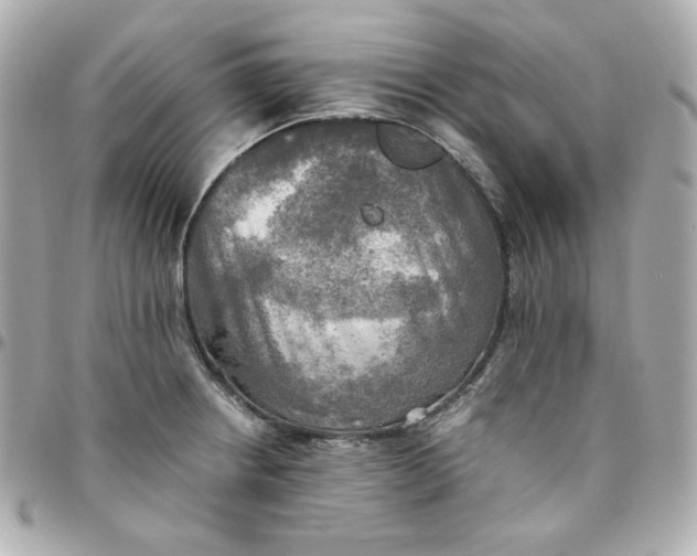 X0000096221234200802011336