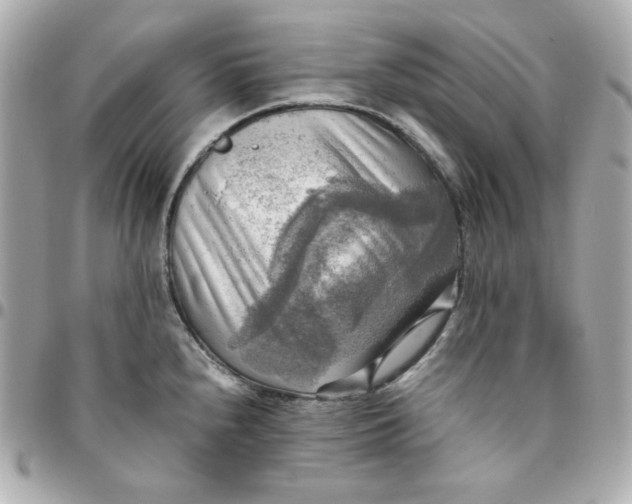 X0000096221240200802011336