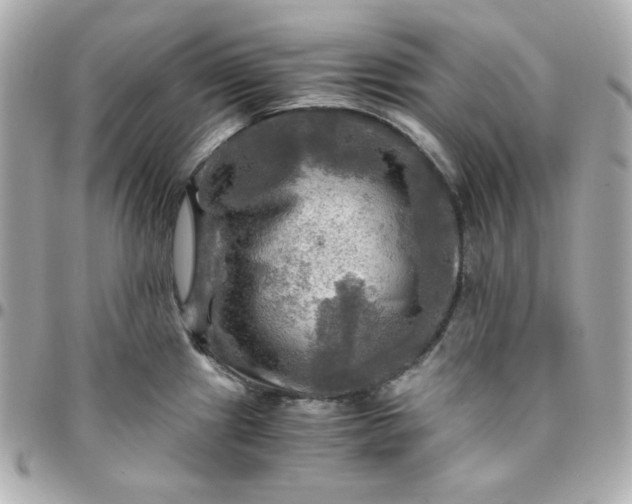 X0000096221241200802011336