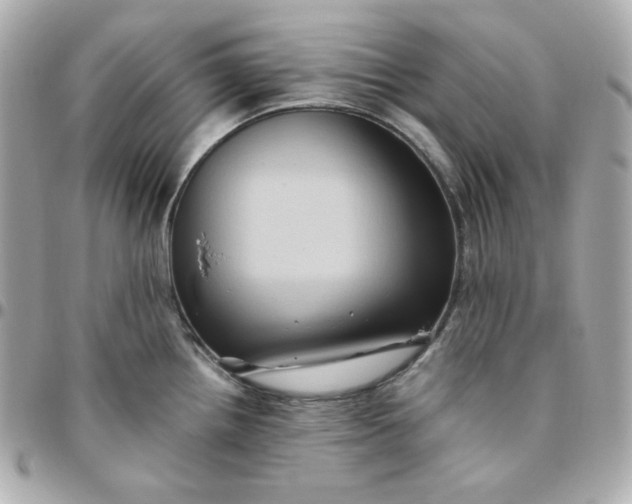 X0000096221242200802011336