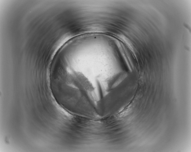 X0000096221243200802011336