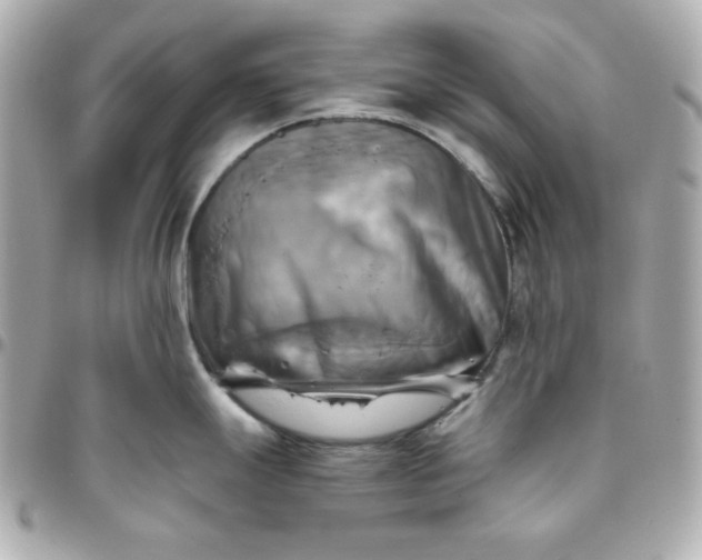 X0000096221247200802011336