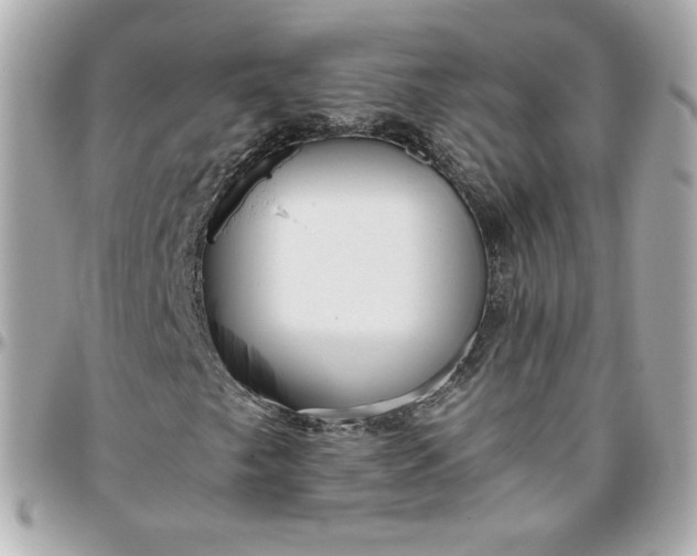 X0000096221249200802011335