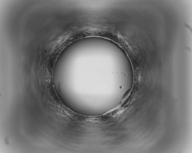 X0000096221253200802011335