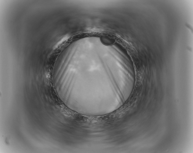 X0000096221254200802011335