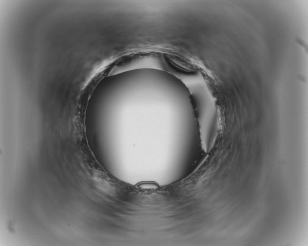 X0000096221256200802011335