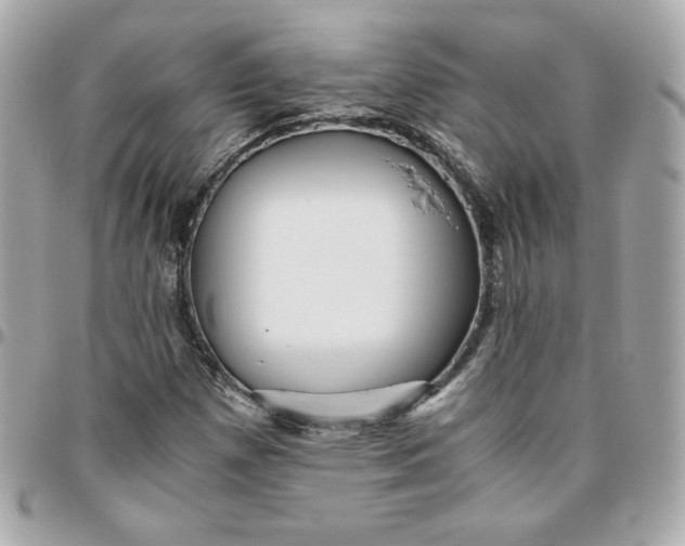 X0000096221257200802011335