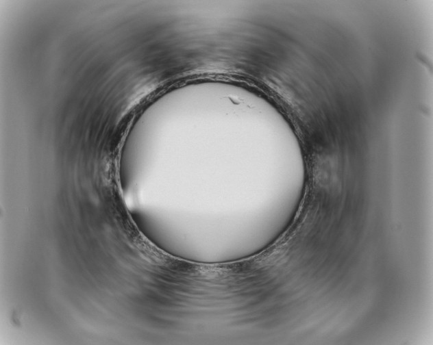 X0000096221258200802011335